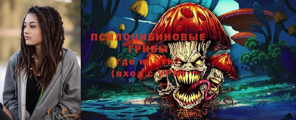 шишки Алексеевка