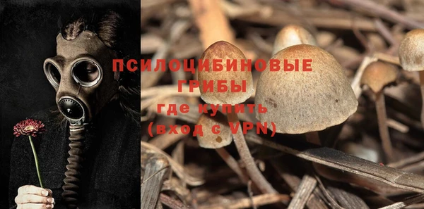 spice Абинск